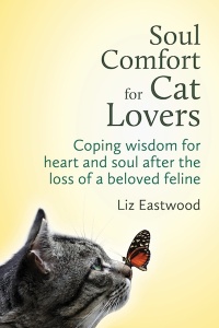 Soul comfort for cat lovers