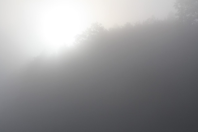 fog-198258_960_720